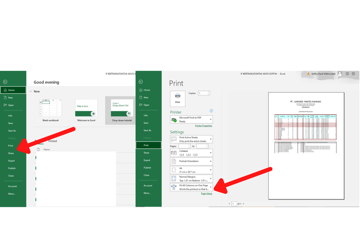cara print Excel